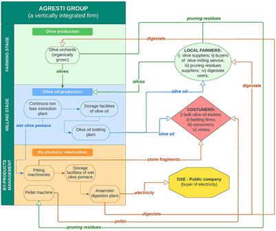 Toward the circular economy into the olive oil supply chain: A case study analysis of a vertically integrated firm